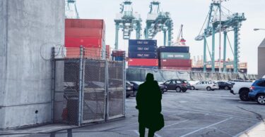 unrecognizable man standing in cargo port