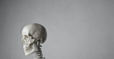 portrait photo of a white skeleton in front of gray background