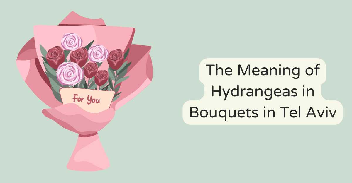 The Meaning of Hydrangeas in Bouquets  in Tel Aviv